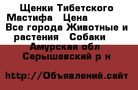 Щенки Тибетского Мастифа › Цена ­ 60 000 - Все города Животные и растения » Собаки   . Амурская обл.,Серышевский р-н